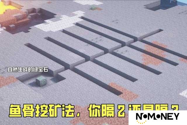5个步骤掌握我的世界鱼骨挖矿法，附带3个关于鹦鹉的趣味小故事