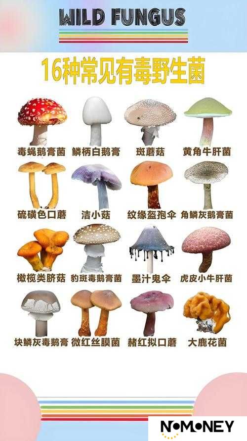 贪婪洞窟2中，毒蘑菇究竟如何获取？又有哪些神秘用途呢？