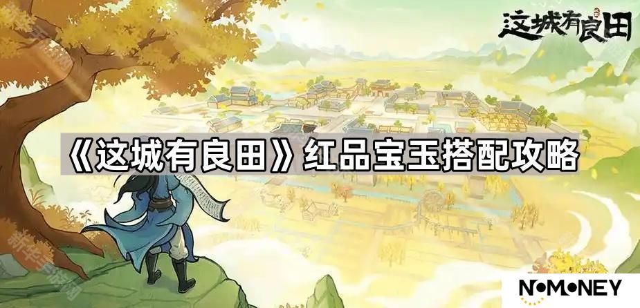 这城有良田红品宝玉怎么搭配最好-红品宝玉搭配攻略