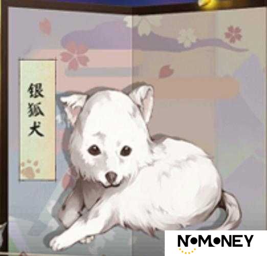 阴阳师玩家如何解锁神秘银狐犬？银狐犬获得方法全攻略
