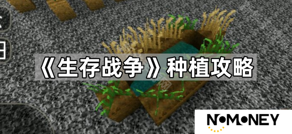 生存战争怎么种植-种植攻略
