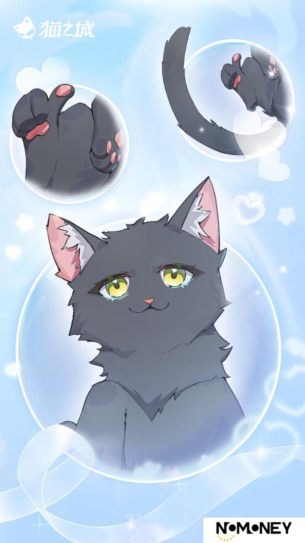 喵！猫娘高清壁纸已送达！