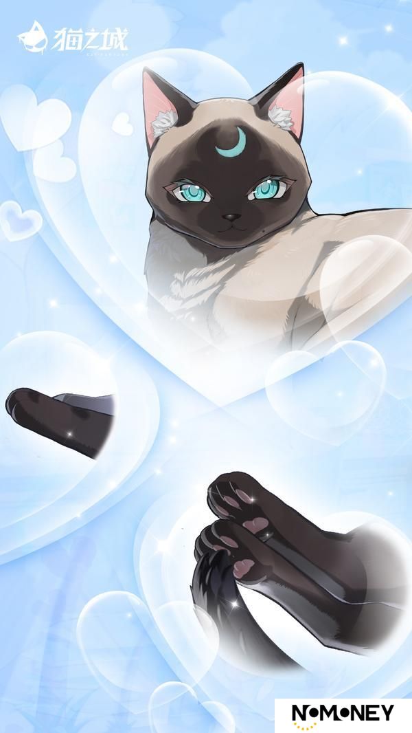 喵！猫娘高清壁纸已送达！